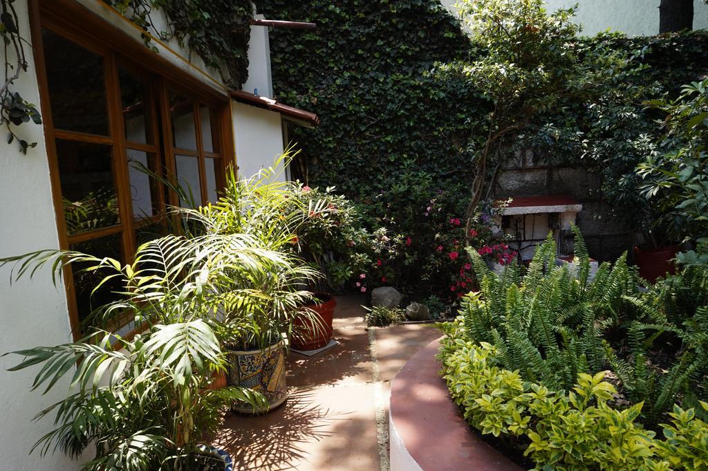 Casa Jacinta Guest House 멕시코 시 외부 사진