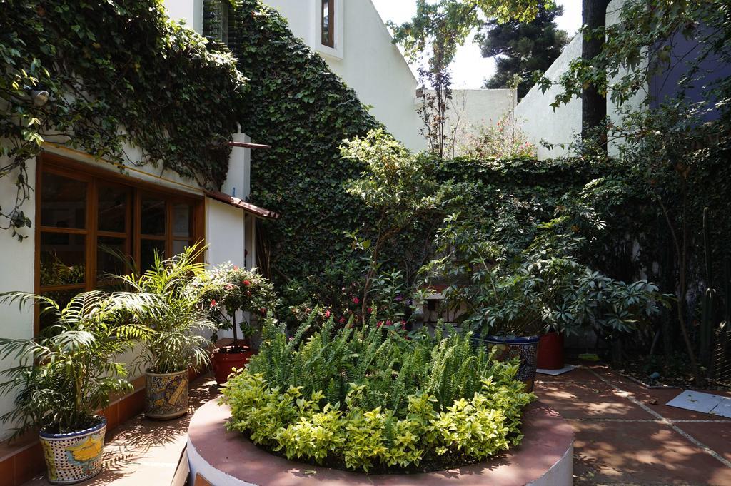 Casa Jacinta Guest House 멕시코 시 외부 사진