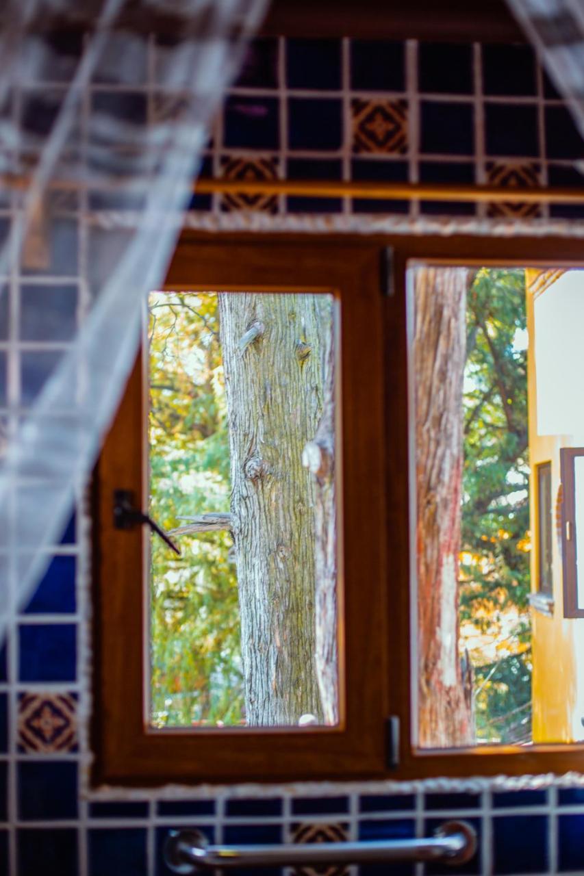 Casa Jacinta Guest House 멕시코 시 외부 사진