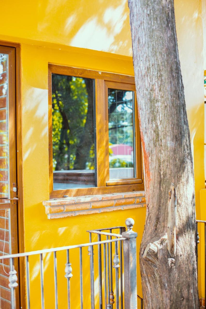 Casa Jacinta Guest House 멕시코 시 외부 사진