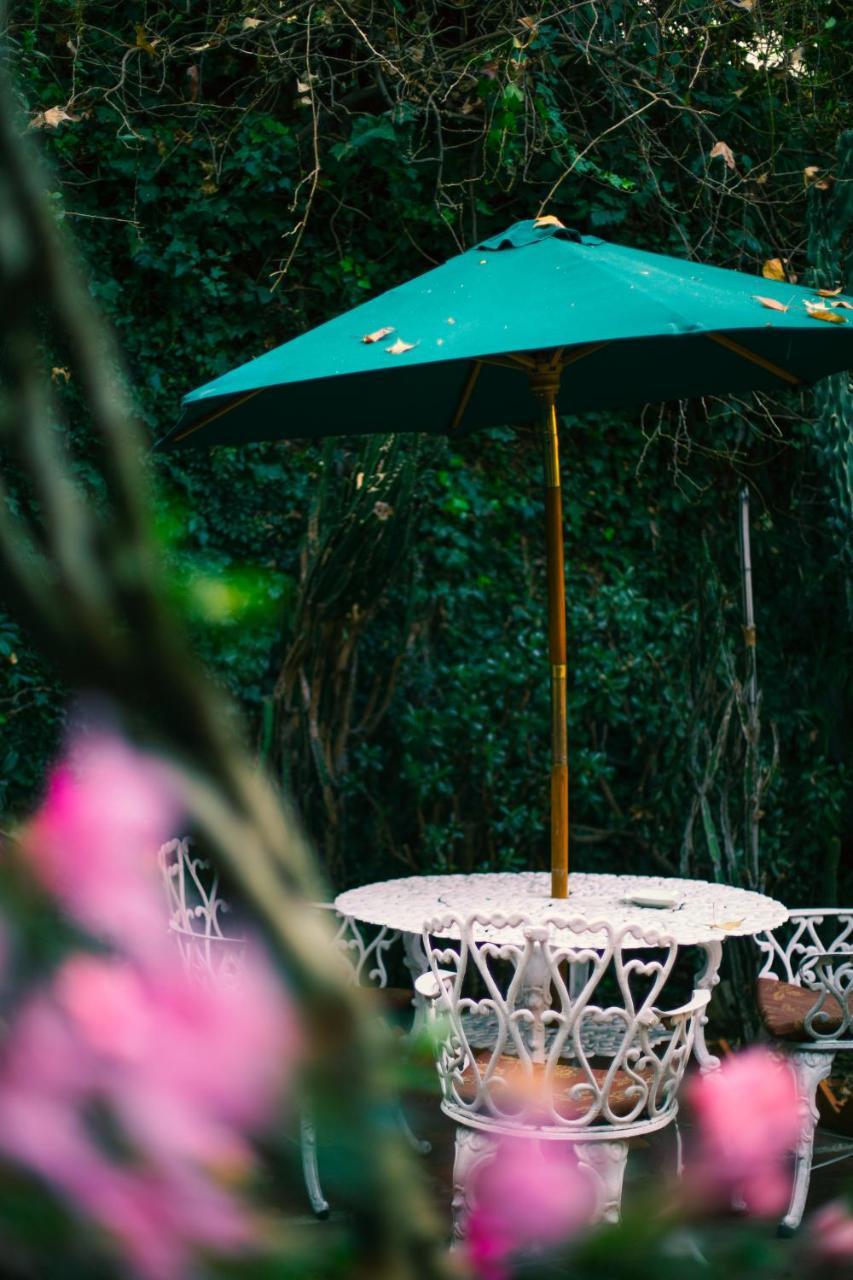 Casa Jacinta Guest House 멕시코 시 외부 사진