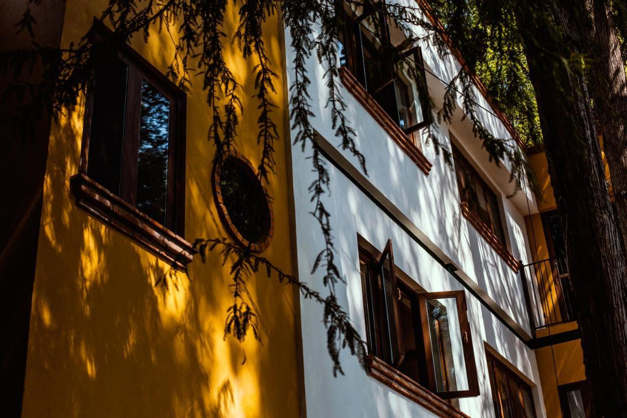 Casa Jacinta Guest House 멕시코 시 외부 사진