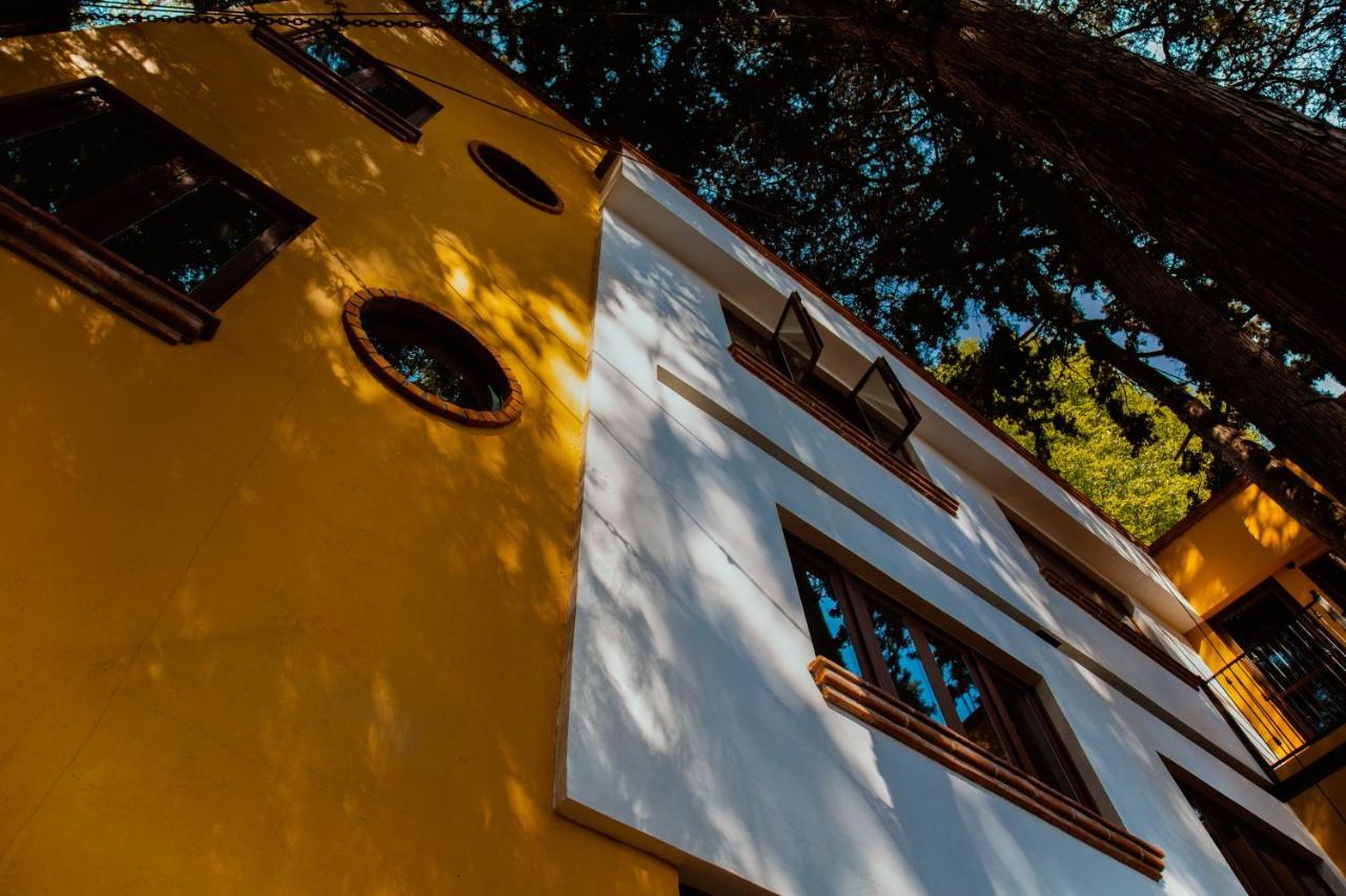 Casa Jacinta Guest House 멕시코 시 외부 사진
